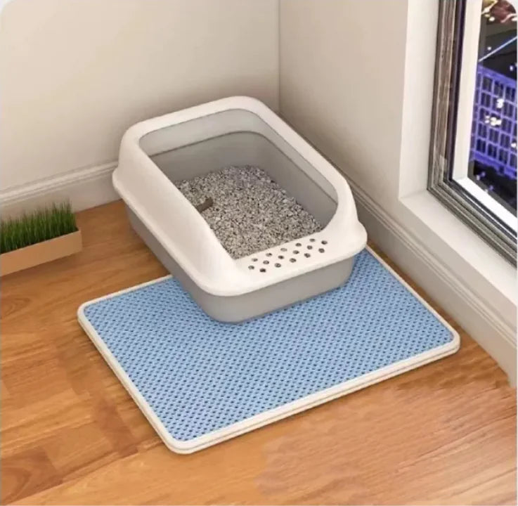 Double-Layer Cat Litter Mat